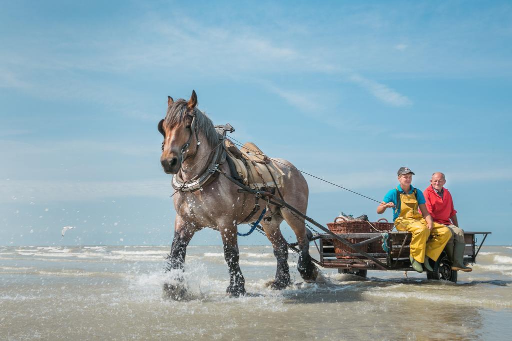 Jeugdherberg De Peerdevisser เอาสท์ดังแกร์เกอ ภายนอก รูปภาพ