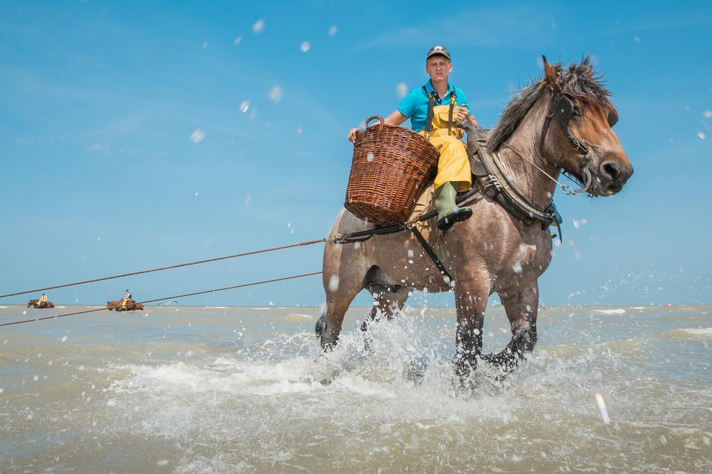 Jeugdherberg De Peerdevisser เอาสท์ดังแกร์เกอ ภายนอก รูปภาพ